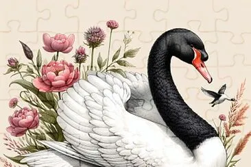 CISNE DE CUELLO NEGRO