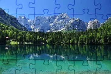 Toy jigsaw puzzle