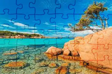 Toy jigsaw puzzle