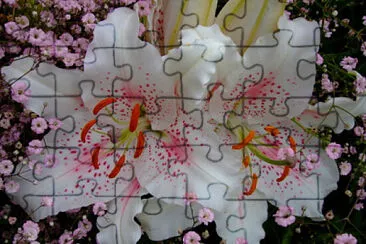 flores hermosa jigsaw puzzle