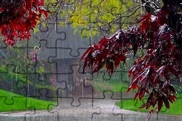 lluvia jigsaw puzzle