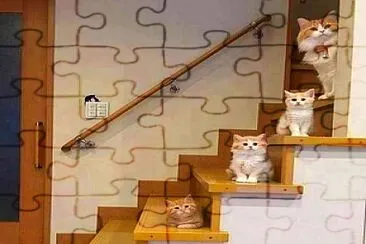 gato jigsaw puzzle