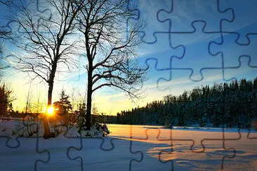 Toy jigsaw puzzle