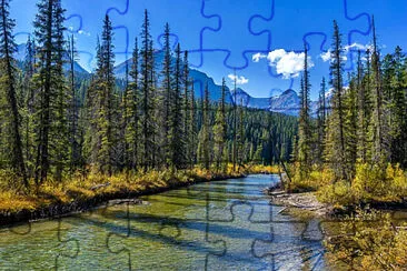 Toy jigsaw puzzle