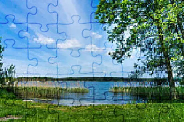 Toy jigsaw puzzle