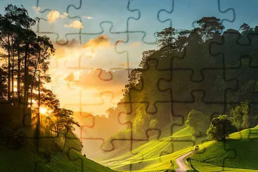 8º ano jigsaw puzzle