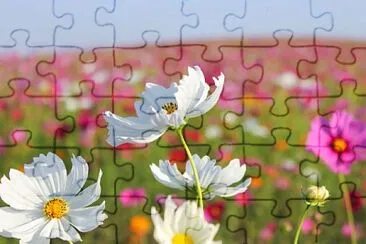 8º ANO jigsaw puzzle