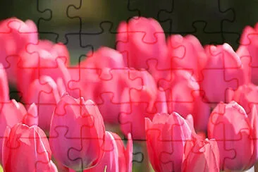 8º ANO jigsaw puzzle