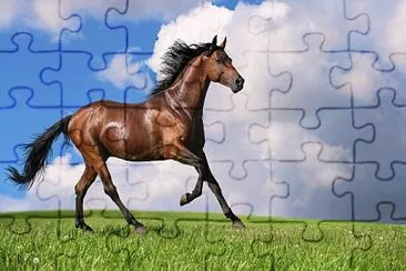 Spike jigsaw puzzle