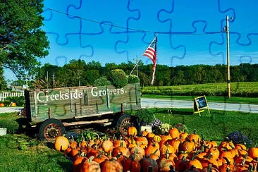 Toy jigsaw puzzle