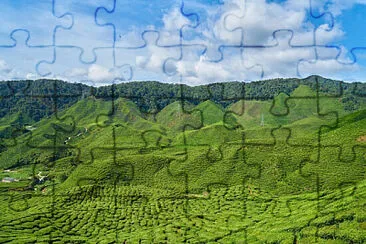 Toy jigsaw puzzle