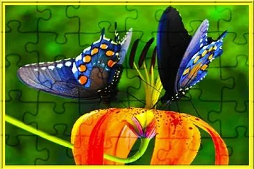 Papillon jigsaw puzzle