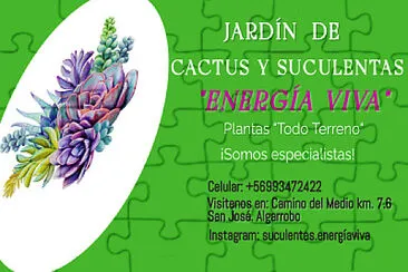 Vivero