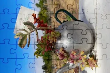 SUCULENTAS EN TETERA jigsaw puzzle