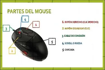 Partes del mouse jigsaw puzzle