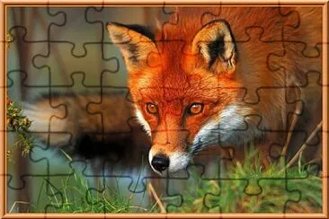 Renard jigsaw puzzle