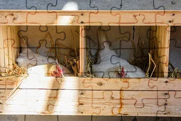 Toy jigsaw puzzle