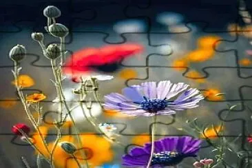 flores jigsaw puzzle