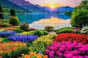 562 jigsaw puzzle