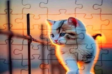 gato jigsaw puzzle