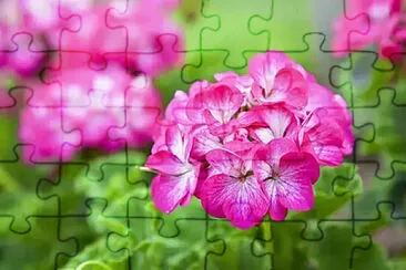 OK jigsaw puzzle