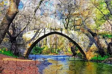 Vieux Pont dans la forêt