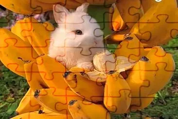 animales jigsaw puzzle