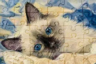 gato jigsaw puzzle