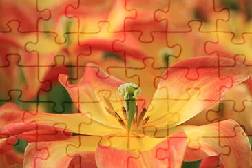 Toy jigsaw puzzle