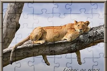 Lionne au repos jigsaw puzzle