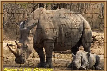 maman et bébé rhinocéros jigsaw puzzle