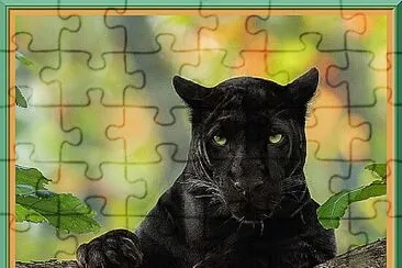 Panthère noire jigsaw puzzle