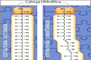 פאזל של moléculas químicas