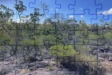 Bushland jigsaw puzzle