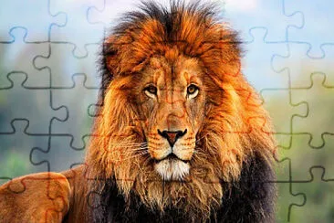 silabas jigsaw puzzle