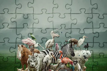 animales jigsaw puzzle