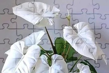 imagem jigsaw puzzle