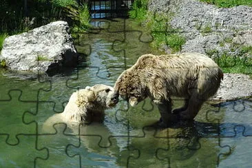 Tierpark Goldau Schweiz