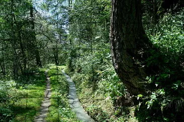 Suonen Baltschiedertal Schweiz jigsaw puzzle