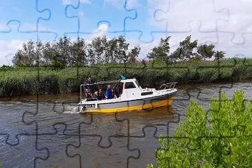 Bateau sur la Leyre Le Teich