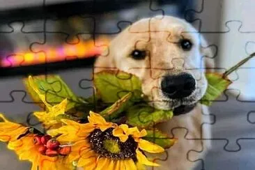 perro jigsaw puzzle