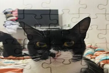 Teste 2 jigsaw puzzle