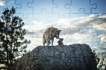 Toy jigsaw puzzle