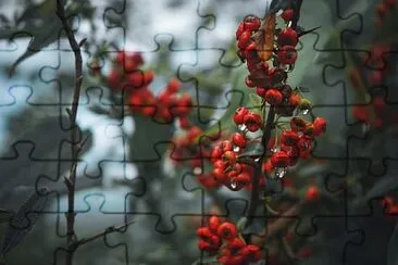 Toy jigsaw puzzle