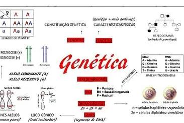 conceitos genetica