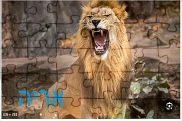 פאזל אריה jigsaw puzzle