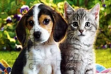 Dog-Cat jigsaw puzzle