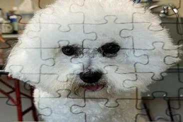 Jessie jigsaw puzzle