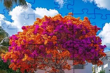 imagem jigsaw puzzle