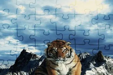 . jigsaw puzzle